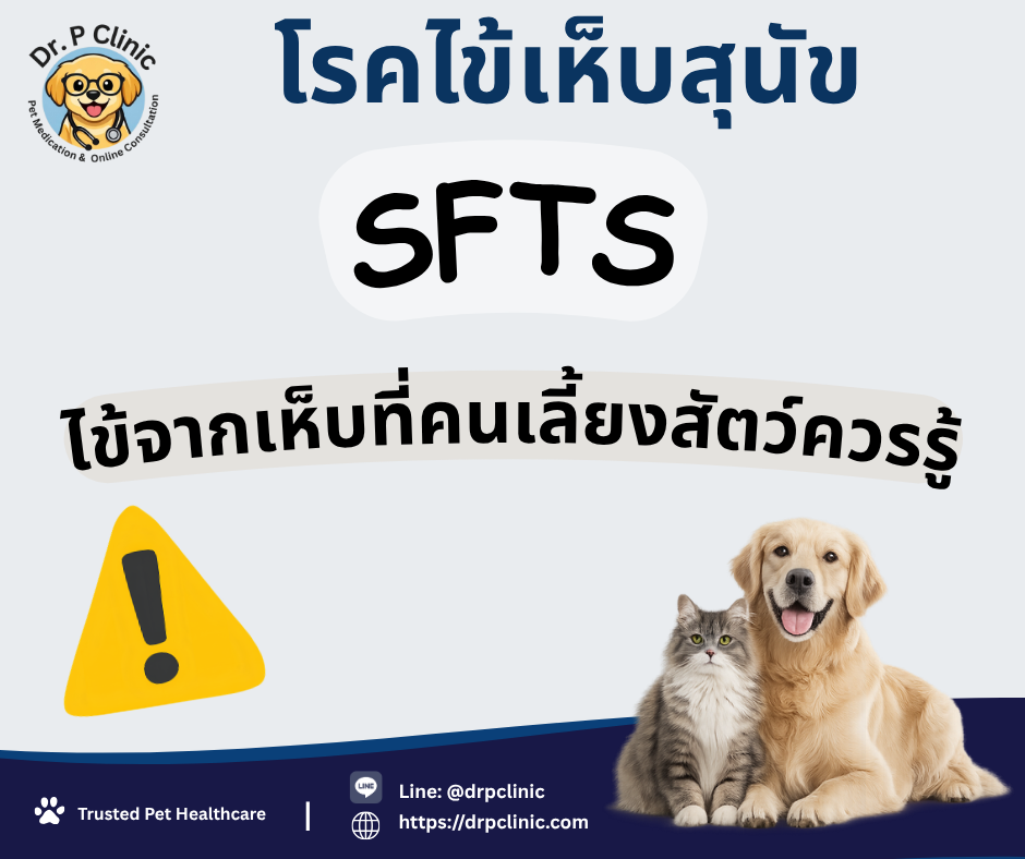SFTS โรคจากเห็บที่คนเลี้ยงสัตว์ควรรู้