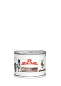 Royal Canin Veterinary Diet: Recovery Wet Dog & Cat Food