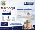 Marbocyl 80 mg ควบคุมการติดเชื้อแบคทีเรียในสุนัขและแมว (1 แผงมี 6 เม็ด)