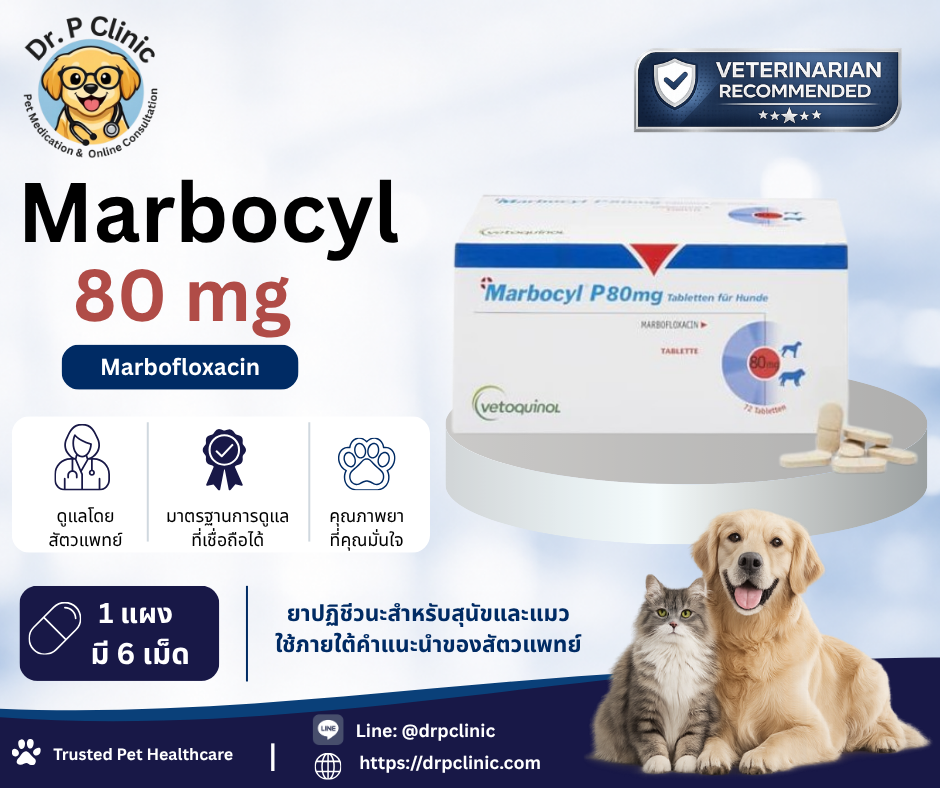 Marbocyl 80 mg ควบคุมการติดเชื้อแบคทีเรียในสุนัขและแมว (1 แผงมี 6 เม็ด)