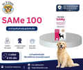 SAMe 100 mg (Intervetta) ยาบำรุงตับสำหรับสุนัขขนาดเล็ก
