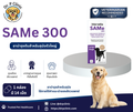 SAMe 300 mg (Intervetta) ยาบำรุงตับสำหรับสุนัขพันธุ์ใหญ่