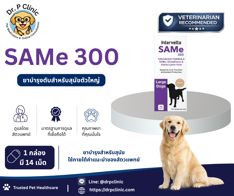 SAMe 300 mg (Intervetta) ยาบำรุงตับสำหรับสุนัขพันธุ์ใหญ่