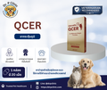 QCER  ยากระตุ้นภูมิสำหรับสุนัขและแมว ช่วยเสริมการทำงานของระบบภูมิคุ้มกันในสัตว์ที่มีภาวะมะเร็ง