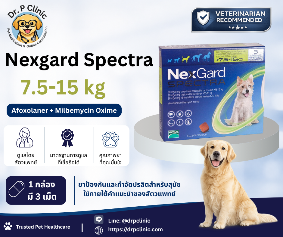 Nexgard Spectra 7.5-15 kg ยาป้องกันเห็บ หมัด พยาธิหนอนหัวใจสำหรับสุนัข