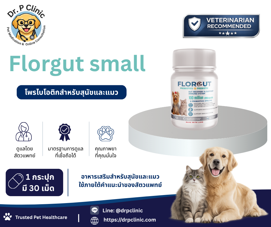 Florgut Small prebiotic & probiotic โปรไบโอติกและพรีไบโอติกสำหรับสุนัขและแมวขนาดเล็ก