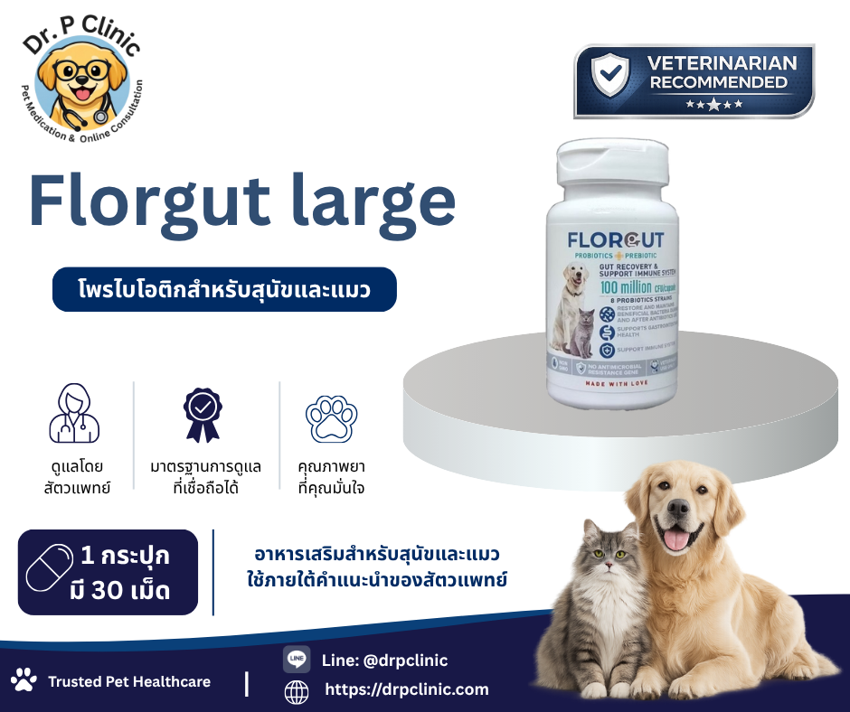 Florgut Large prebiotic & probiotic โปรไบโอติกและพรีไบโอติกสำหรับสุนัขและแมวพันธุ์ใหญ่