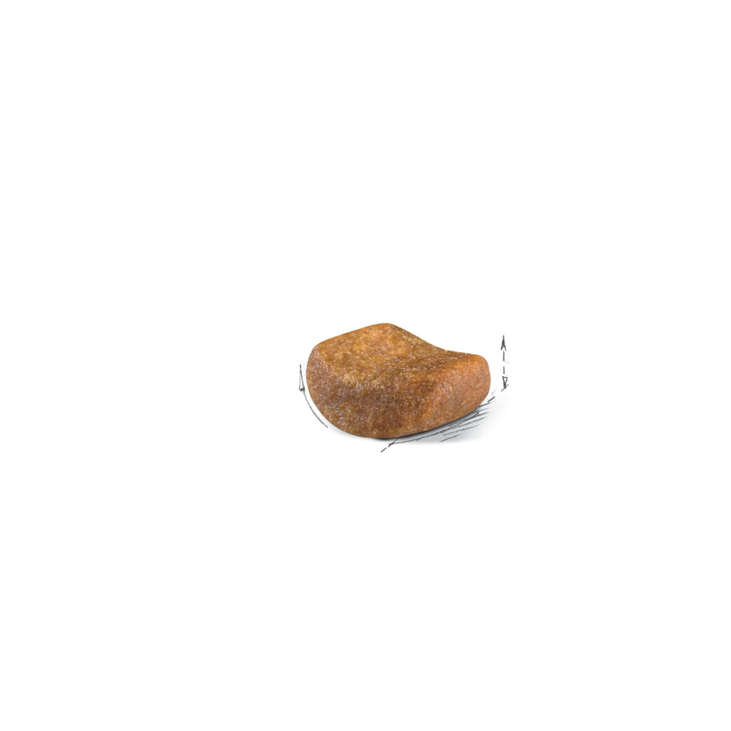 Royal Canin Breed Health Nutrition: British Shorthair Adult Dry Cat Food