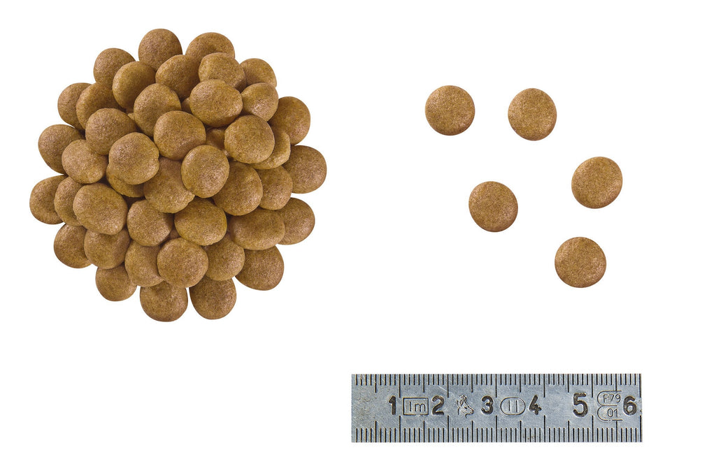 Royal Canin Veterinary Diet: Anallergenic Dry Cat Food