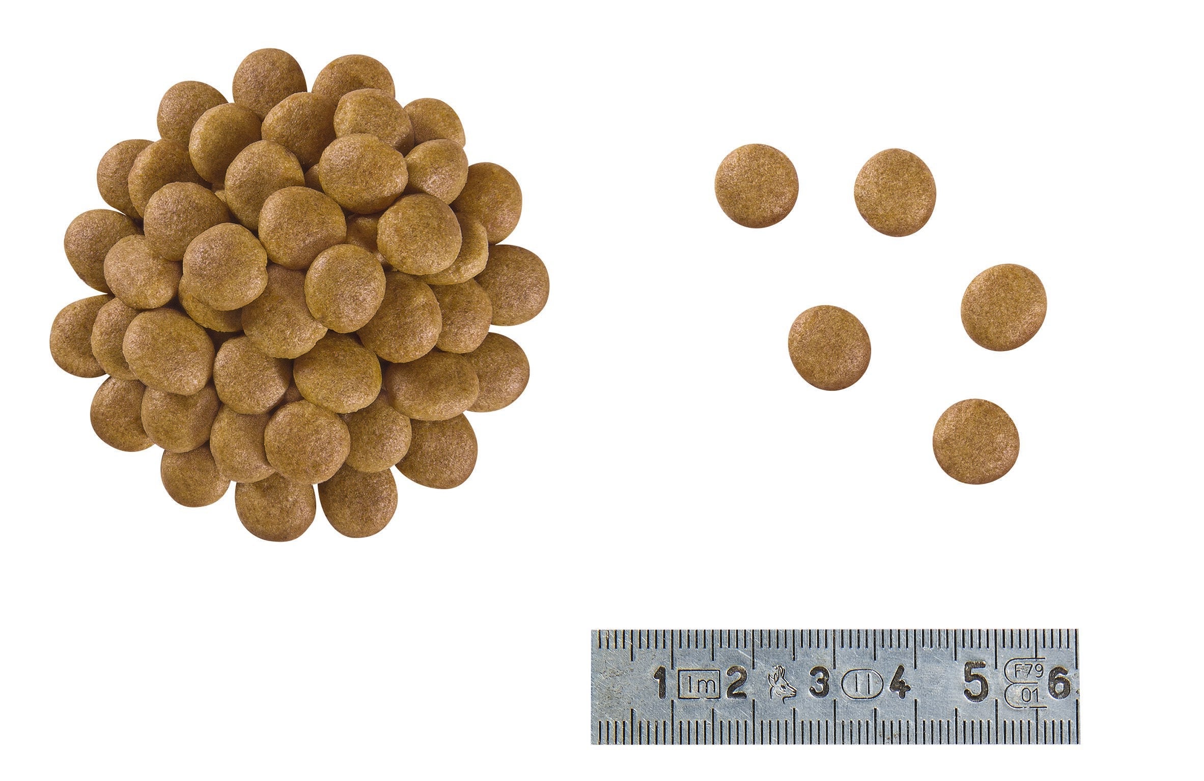 Royal Canin Veterinary Diet: Anallergenic Dry Cat Food