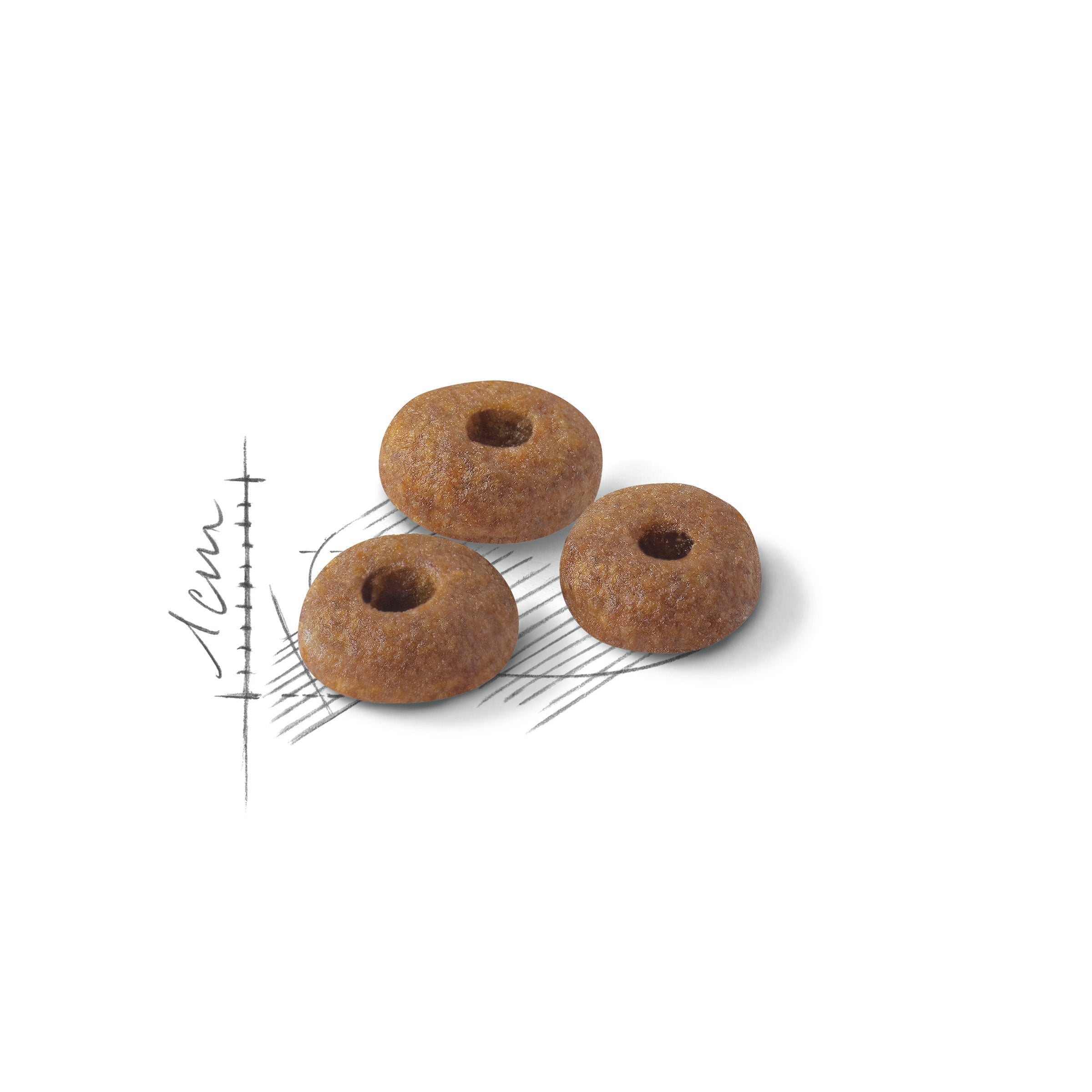 Royal Canin Fit 32: Adult Outdoor Dry Cat Food