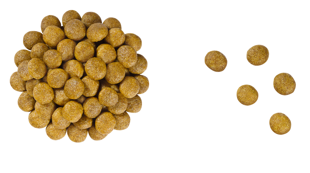 Royal Canin Veterinary Diet: Renal Dry Cat Food