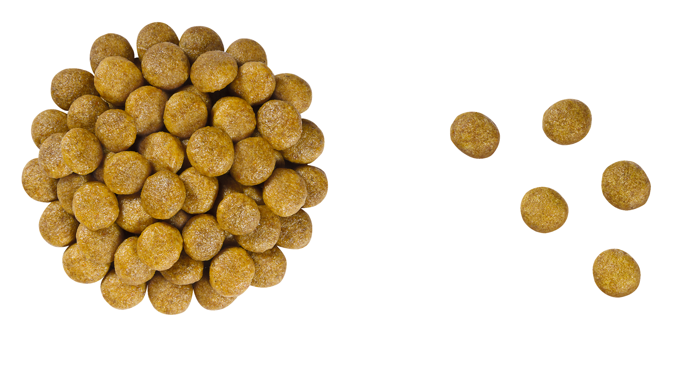 Royal Canin Veterinary Diet: Renal Dry Cat Food