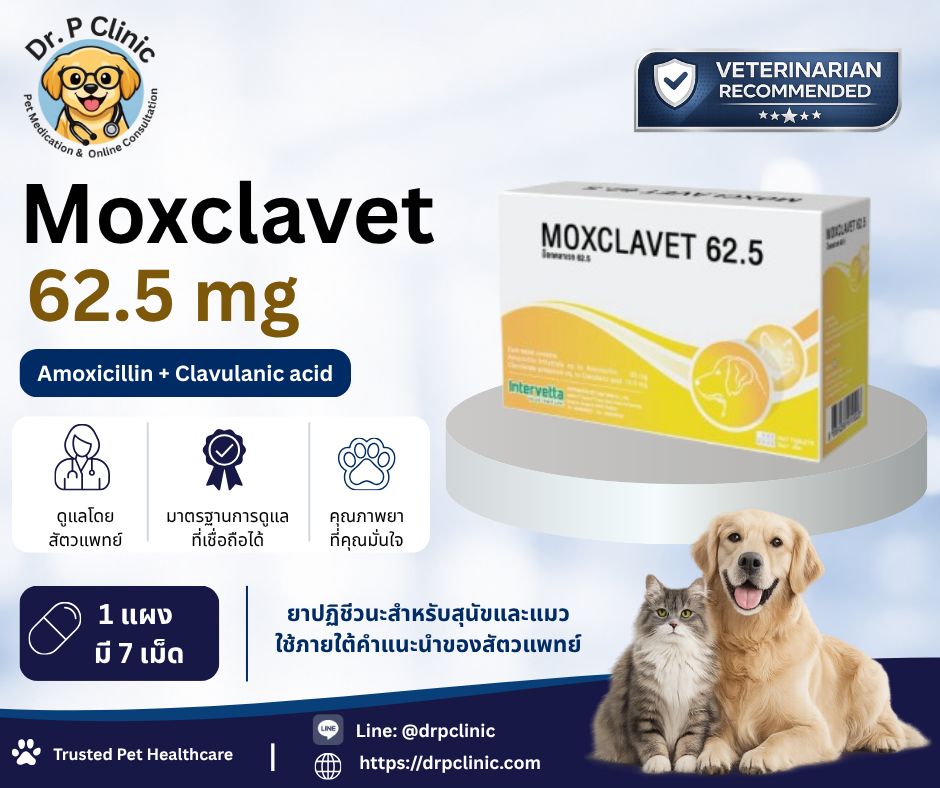 Moxclavet 62.5 mg ควบคุมการติดเชื้อแบคทีเรียในสุนัขและแมว (1 แผงมี 7 เม็ด)