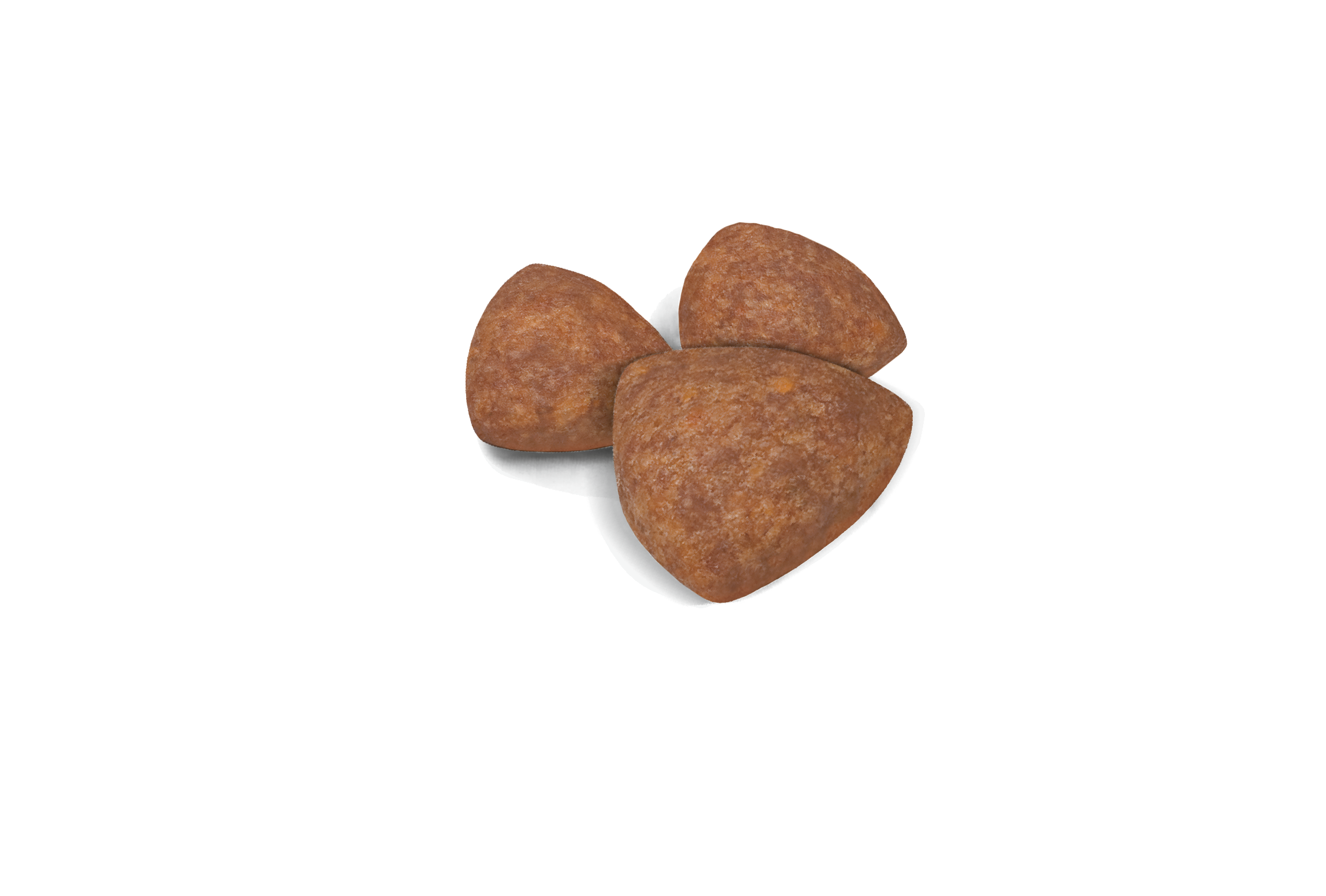 Royal Canin Mini Indoor Puppy Dry Dog Food