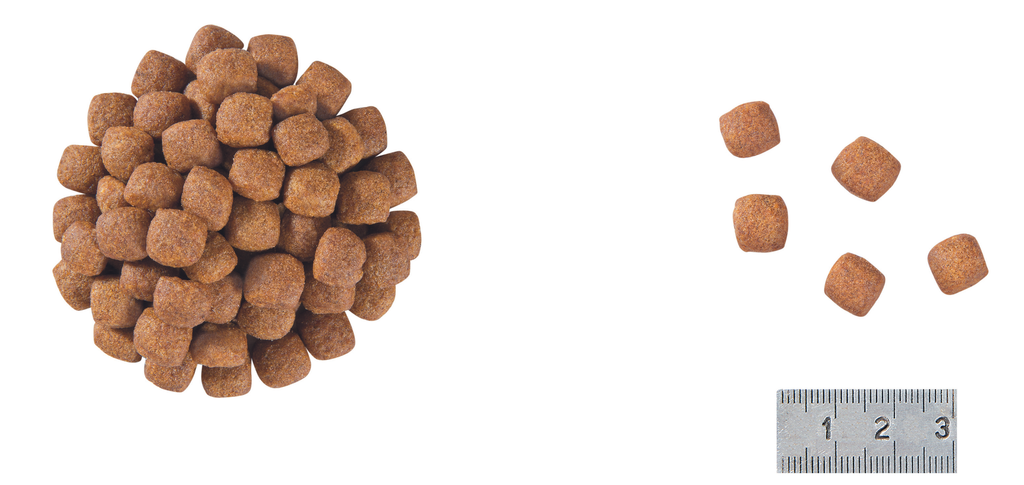 Royal Canin Prescription Diet: Skin Care Small Breed Dry Dog Food