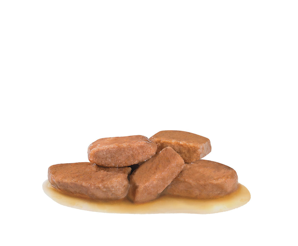 Royal Canin Veterinary Diet: Early Renal Wet Cat Food