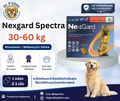 Nexgard Spectra 30-60 kg ยาป้องกันเห็บ หมัด พยาธิหนอนหัวใจสำหรับสุนัข