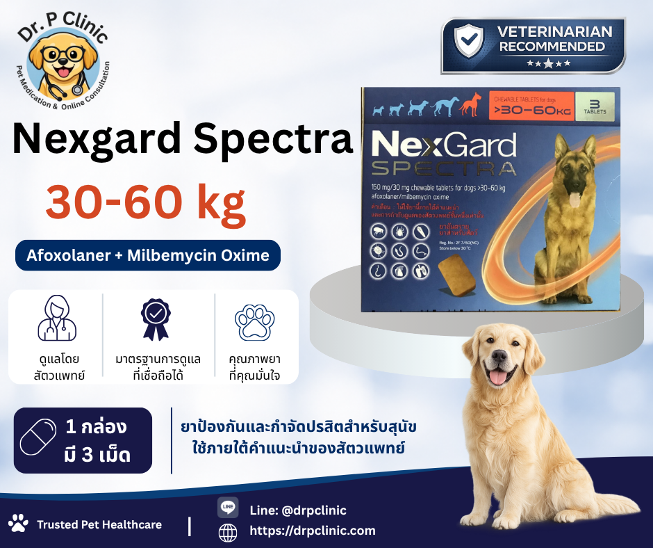Nexgard Spectra 30-60 kg ยาป้องกันเห็บ หมัด พยาธิหนอนหัวใจสำหรับสุนัข