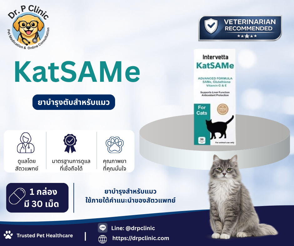 KatSAMe (Intervetta)  อาหารเสริมบำรุงตับสำหรับแมว