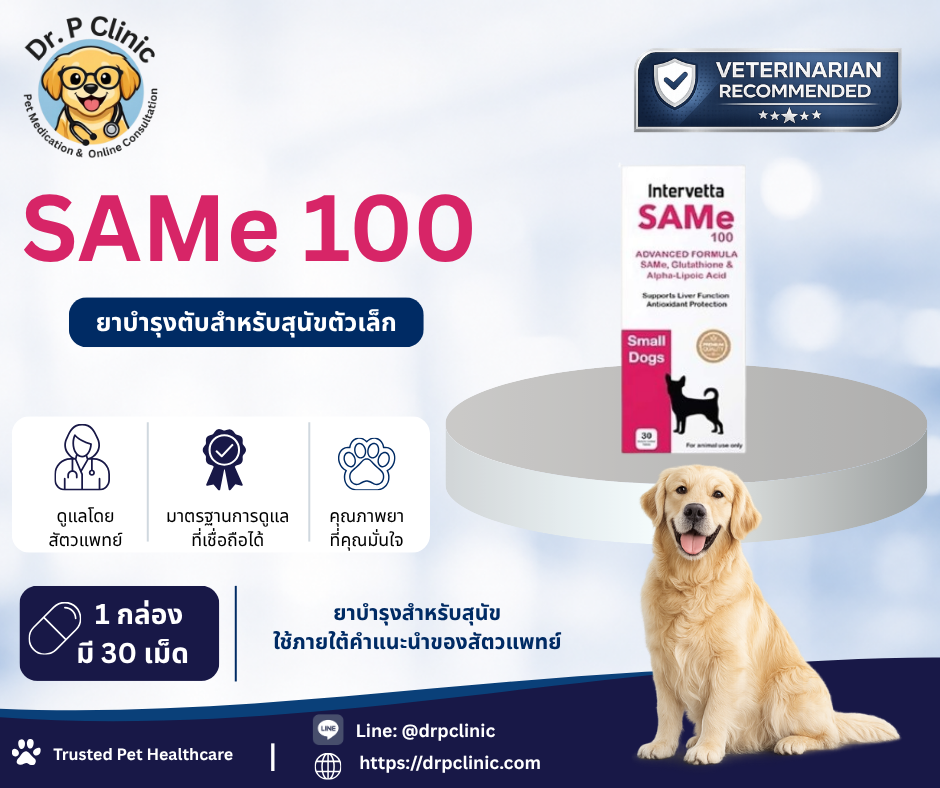 SAMe 100 mg (Intervetta) ยาบำรุงตับสำหรับสุนัขขนาดเล็ก