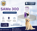 SAMe 300 mg (Intervetta) ยาบำรุงตับสำหรับสุนัขพันธุ์ใหญ่