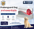 Prabenguard Dog ยาถ่ายพยาธิสุนัข