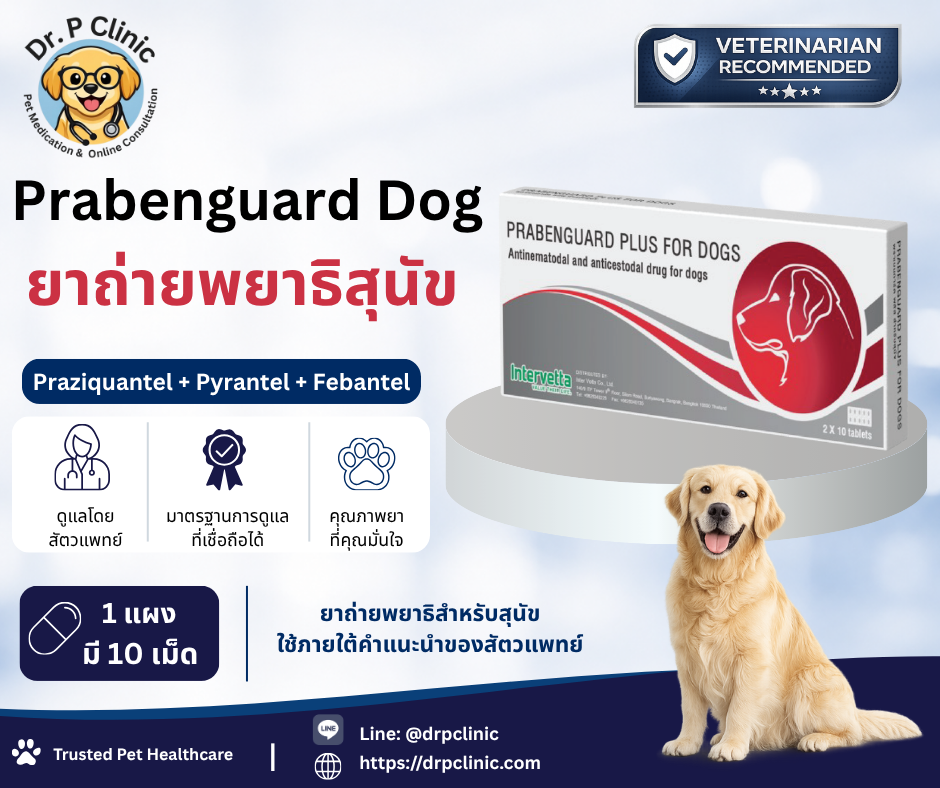Prabenguard Dog ยาถ่ายพยาธิสุนัข