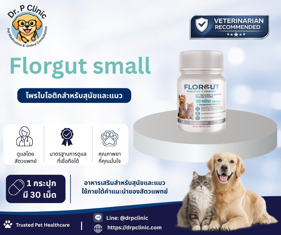 Florgut Small prebiotic & probiotic โปรไบโอติกและพรีไบโอติกสำหรับสุนัขและแมวขนาดเล็ก