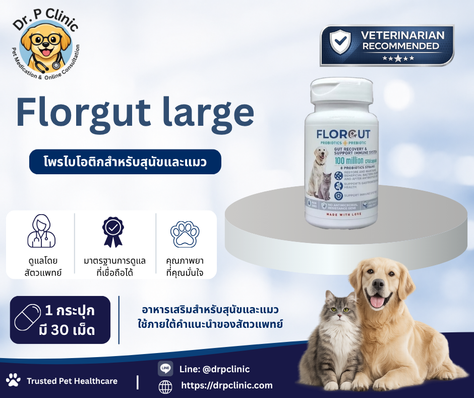 Florgut Large prebiotic & probiotic โปรไบโอติกและพรีไบโอติกสำหรับสุนัขและแมวพันธุ์ใหญ่
