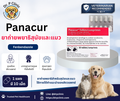 Panacur ยาถ่ายพยาธิสุนัขและแมว