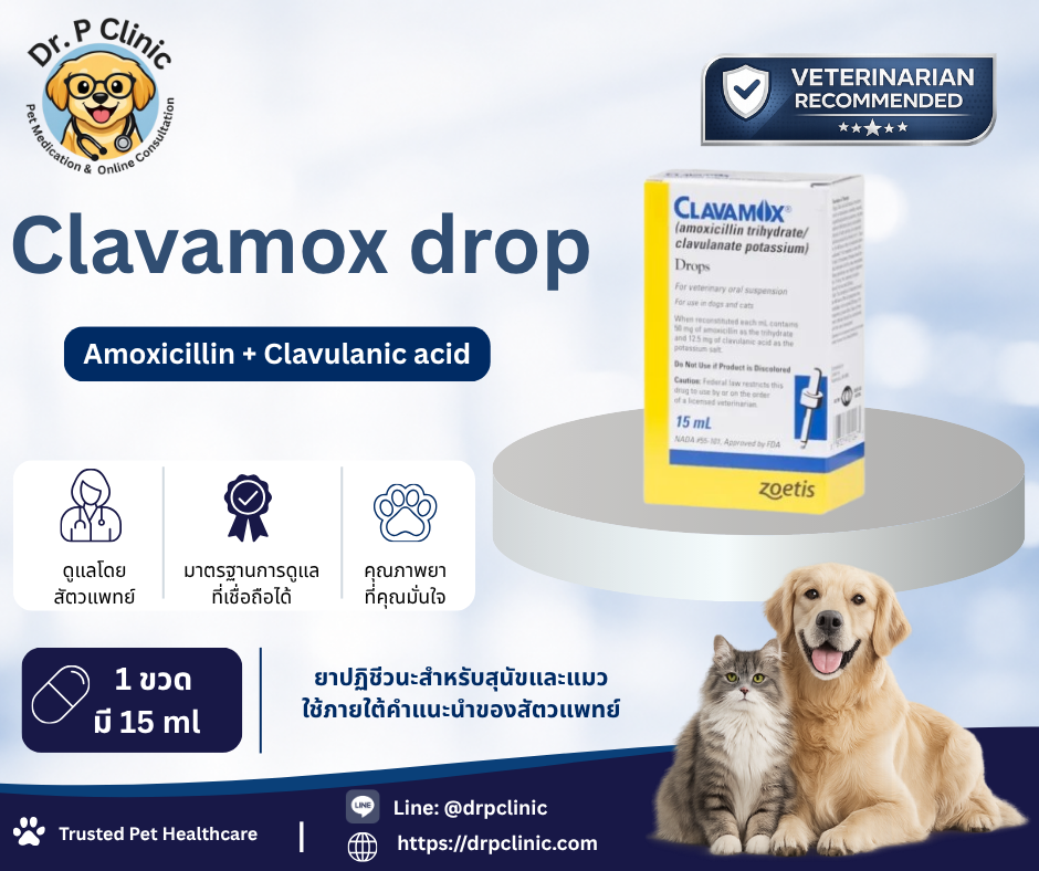 Clavamox drop 62.5 mg ควบคุมการติดเชื้อแบคทีเรียในสุนัขและแมว (1 ขวดมี 15 ml)