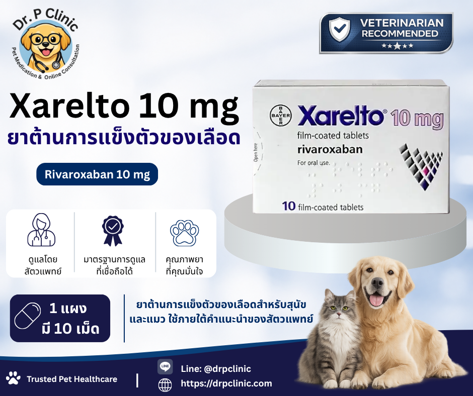 Xarelto 10 mg (Rivaroxaban 10 mg) ยาต้านการแข็งตัวของเลือด
