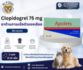 Clopidogrel 75 mg ยาต้านเกล็ดเลือดสำหรับสุนัขและแมว