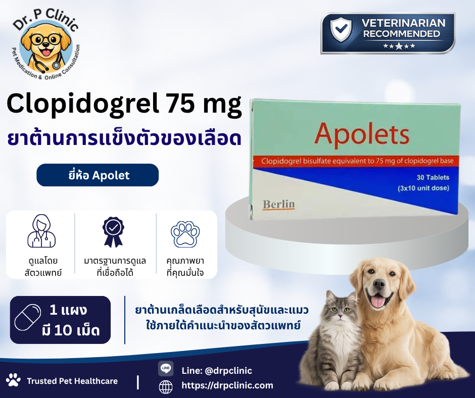 Clopidogrel 75 mg ยาต้านเกล็ดเลือดสำหรับสุนัขและแมว