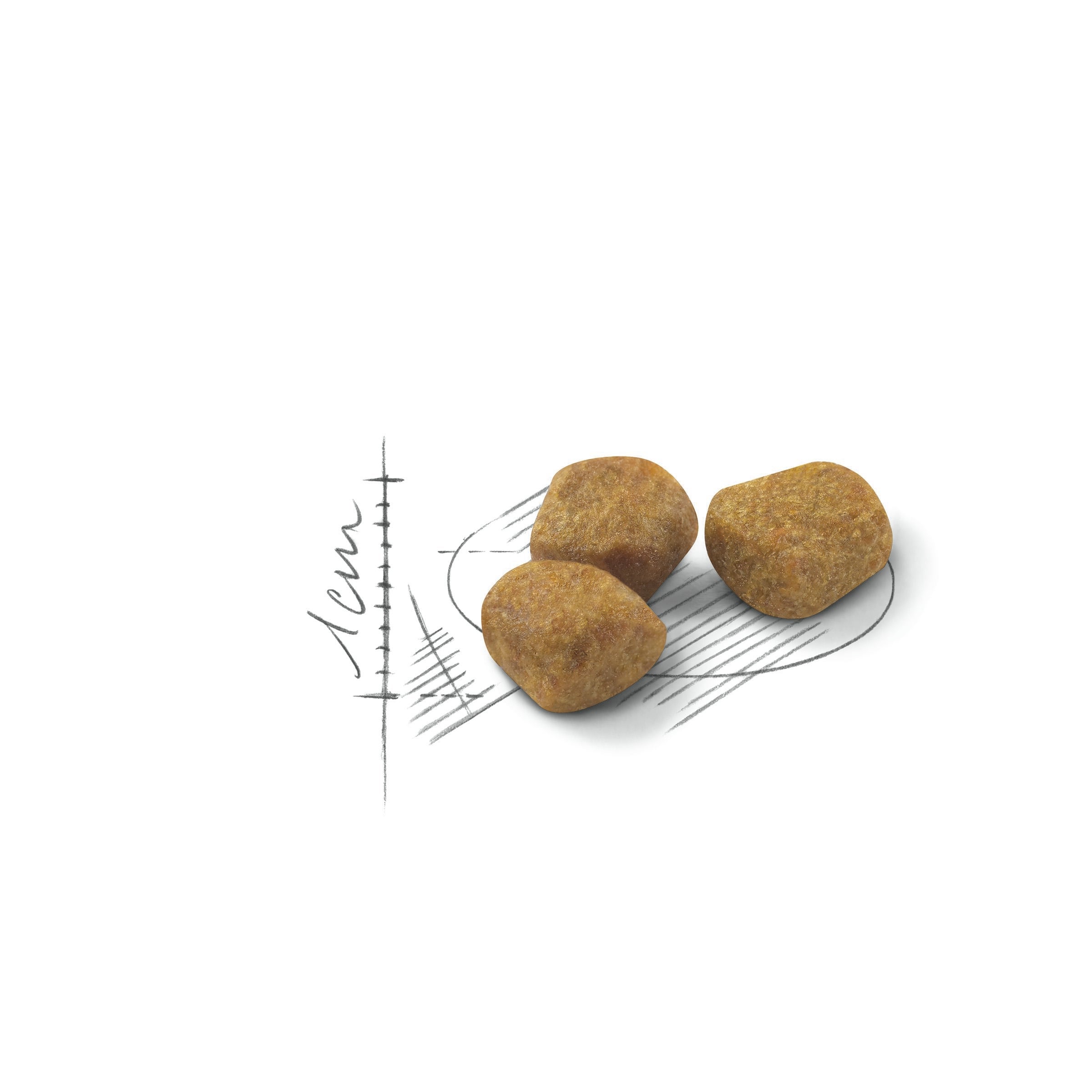 Royal Canin Indoor 7+ Dry Cat Food
