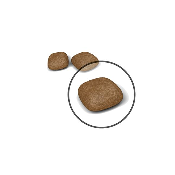 Royal Canin Urinary Care Adult Dry Cat Food