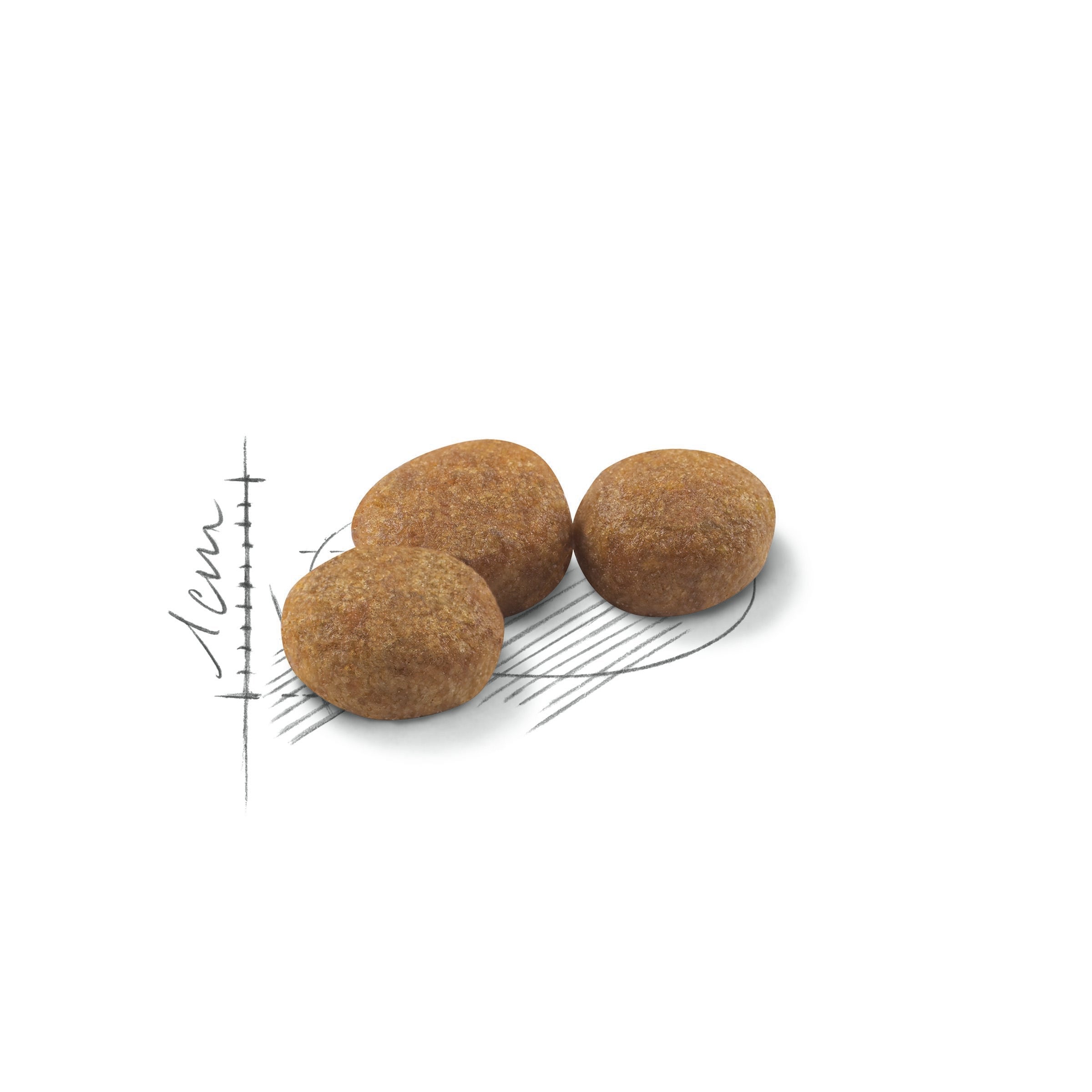 Royal Canin Sterilised Adult Dry Cat Food