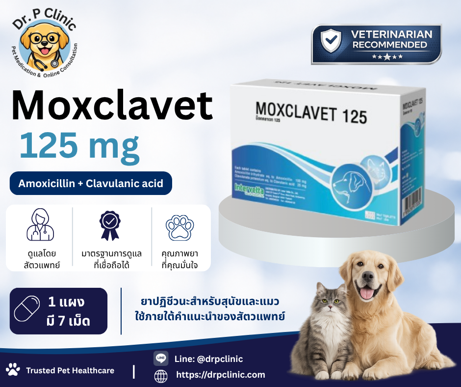 Moxclavet 125 mg ควบคุมการติดเชื้อแบคทีเรียในสุนัขและแมว (1 แผงมี 7 เม็ด)