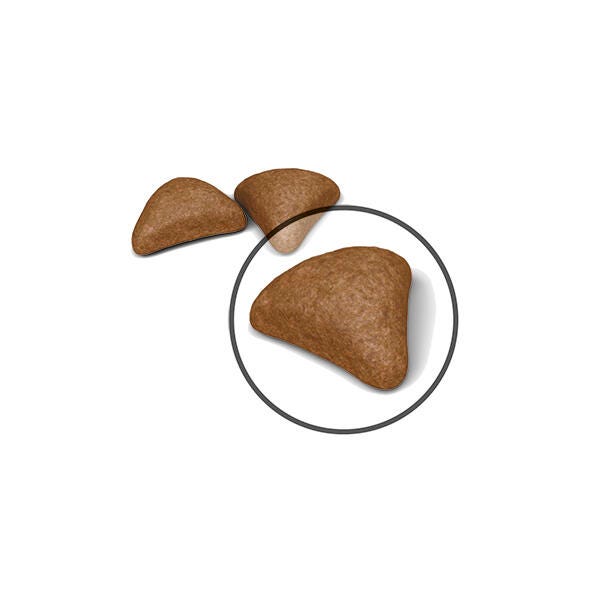 Royal Canin Hairball Care Dry Cat Food