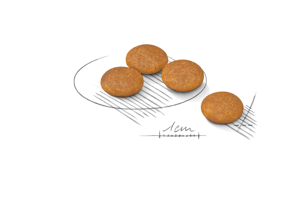 Royal Canin Mini Dermacomfort Dry Dog Food