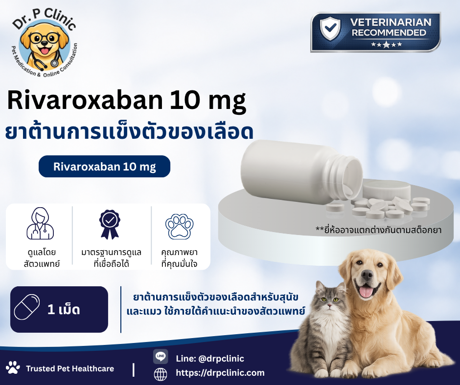 Rivaroxaban 10 mg ยาต้านการแข็งตัวของเลือดสำหรับสุนัขและแมว
