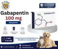 Gabapentin 100 mg ยาลดปปวดปลายประสาทสำหรับสุนัขและแมว