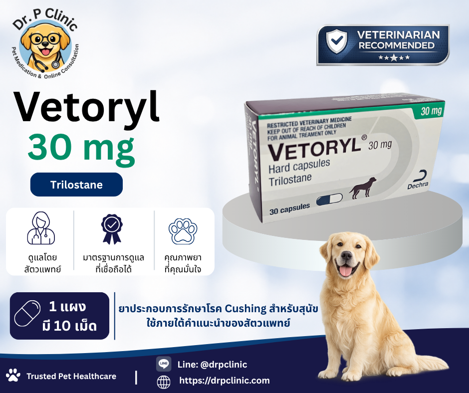 Vetoryl 30 mg ยาสำหรับสุนัขที่ใช้ควบคุมภาวะ Cushing's disease ช่วยลดการสร้างฮอร์โมนคอร์ติซอลที่มากเกินไป