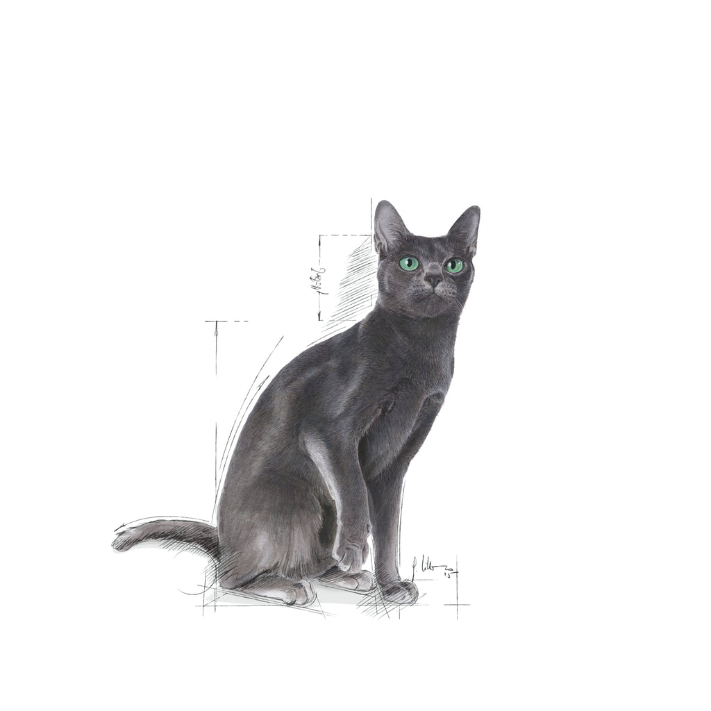 Royal Canin Sterilised Adult Dry Cat Food