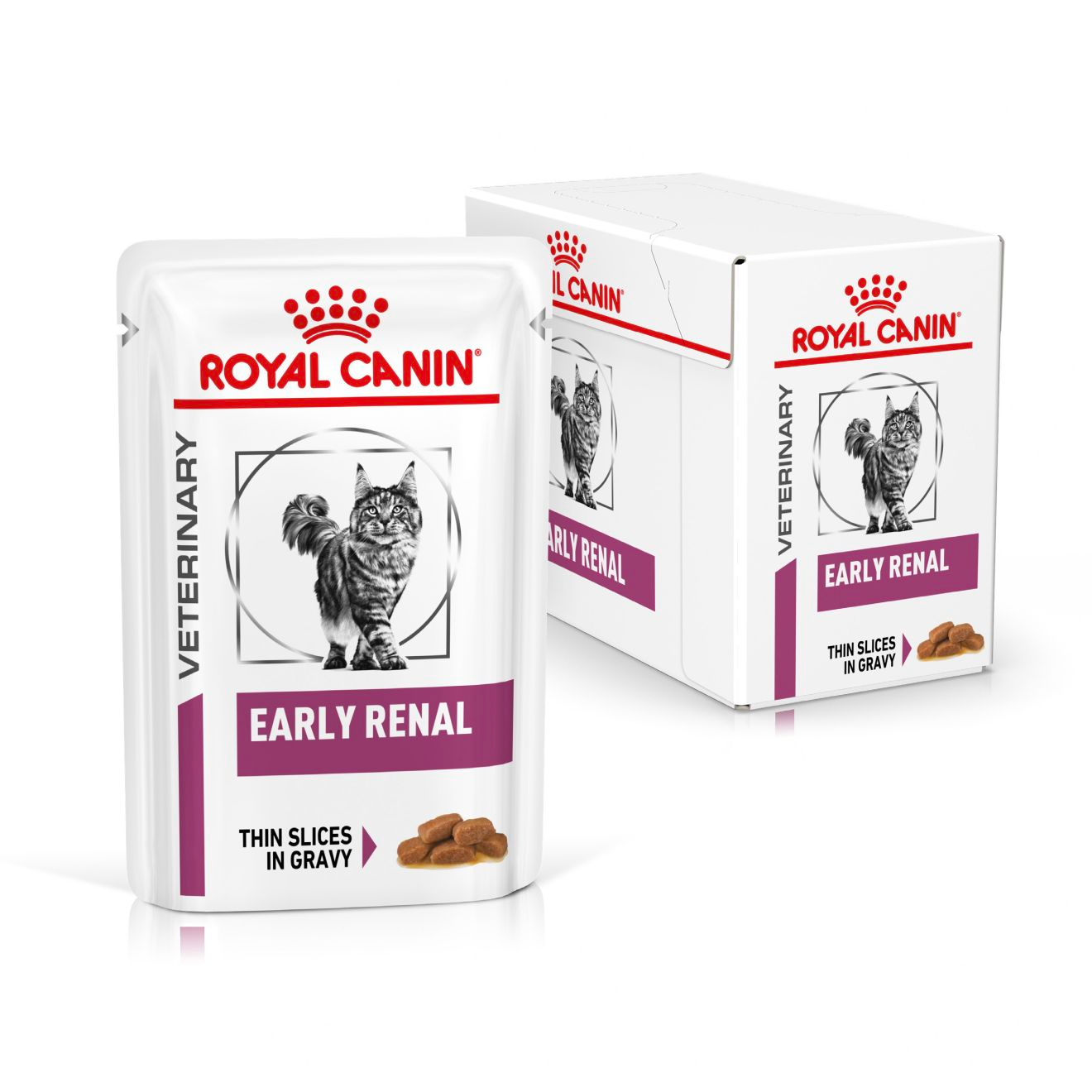 Royal Canin Veterinary Diet: Early Renal Wet Cat Food