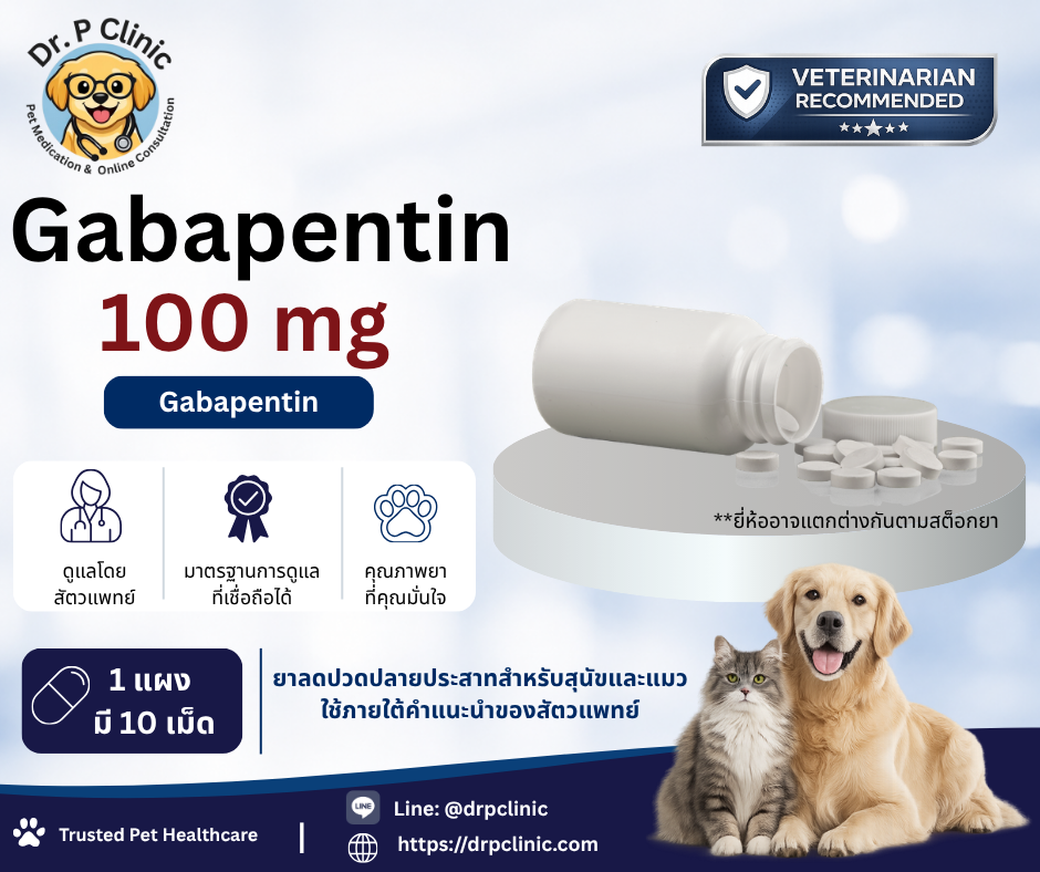 Gabapentin 100 mg ยาลดปวดปลายประสาทสำหรับสุนัขและแมว (1 แผงมี 10 เม็ด)