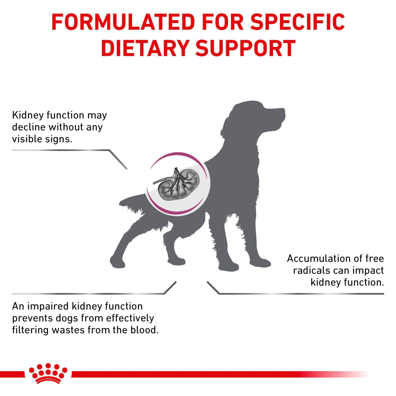 Royal Canin Veterinary Diet: Early Renal Dry Dog Food