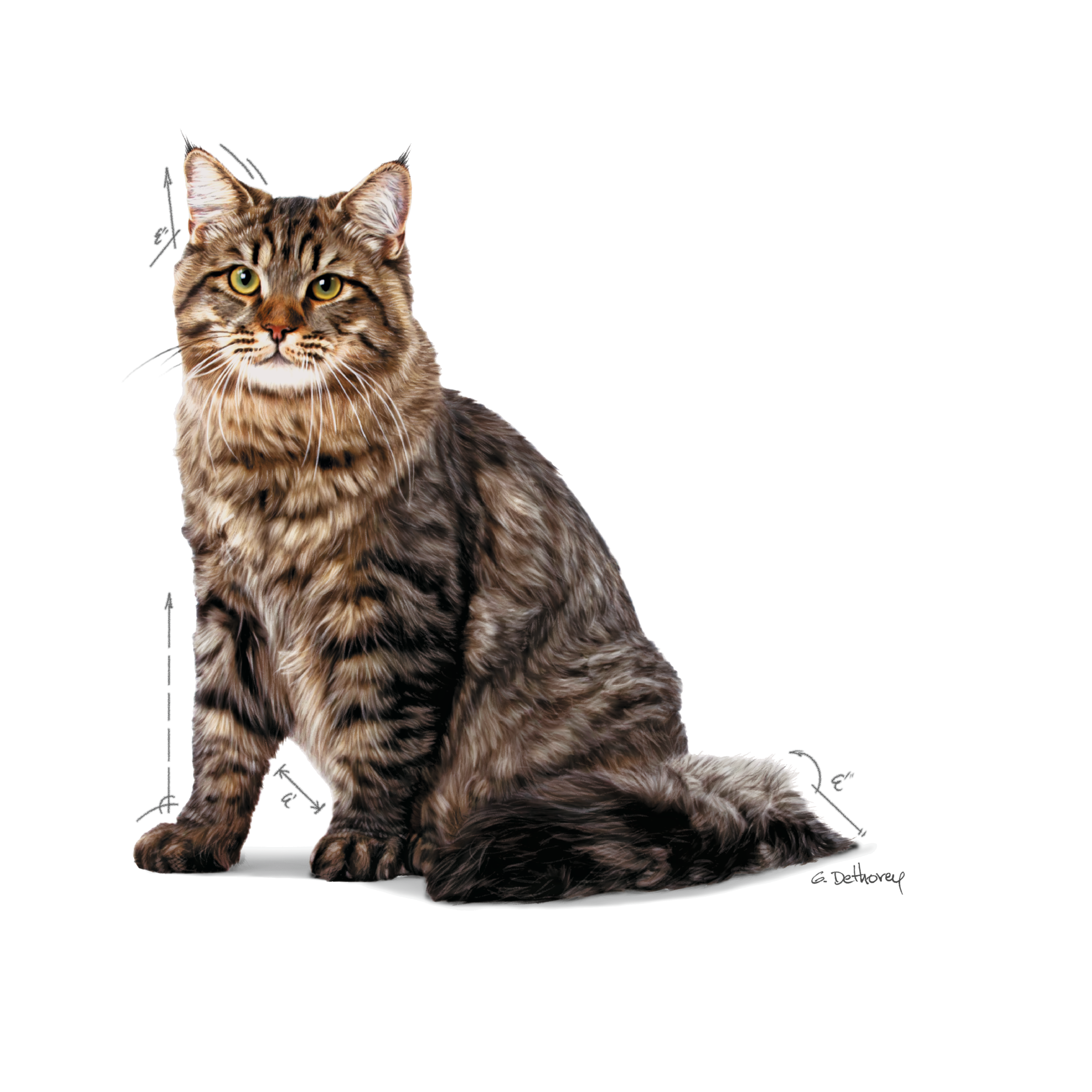 Royal Canin Urinary Care Jelly Wet Cat Food