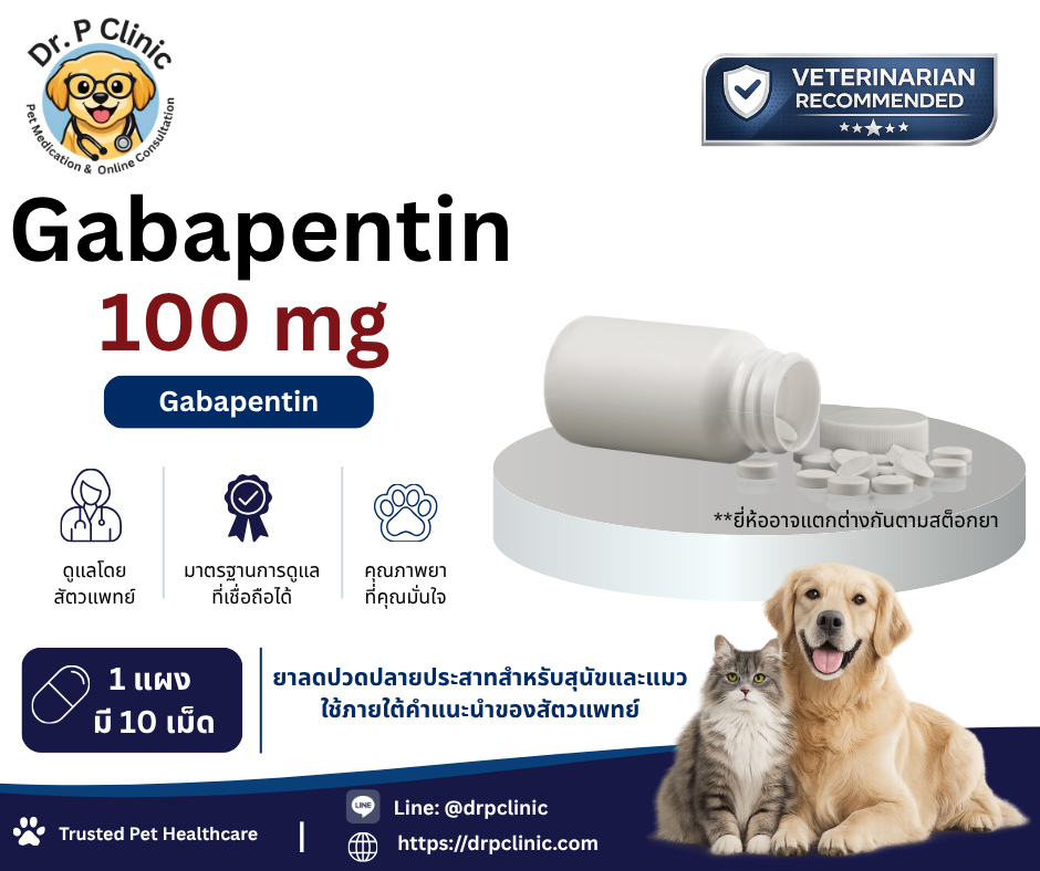 Gabapentin 100 mg ยาลดปวดปลายประสาทสำหรับสุนัขและแมว (1 แผงมี 10 เม็ด)